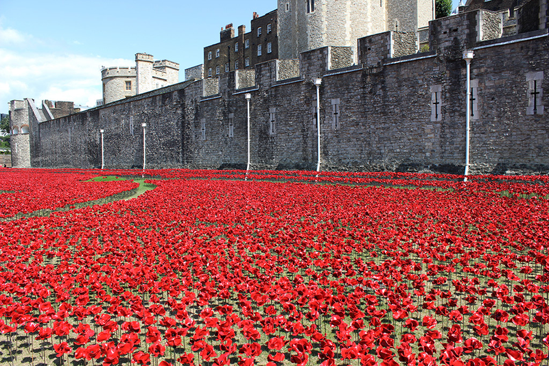 Illustration for article titled 888,246 Ceramic Poppies Will Fill The Moat At The Tower Of London